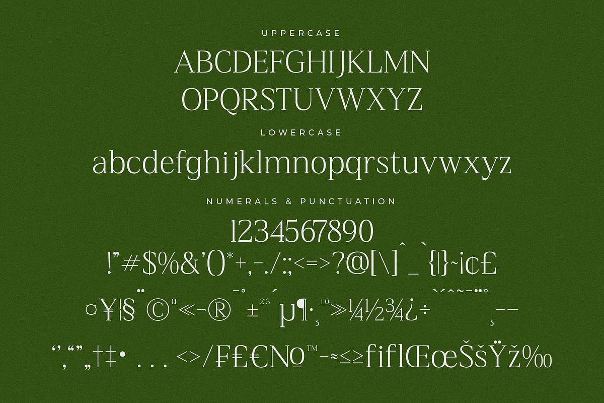 Blacindy Modern Serif Font, a Serif Font by Letterena Studios (Photo 13 of 15)