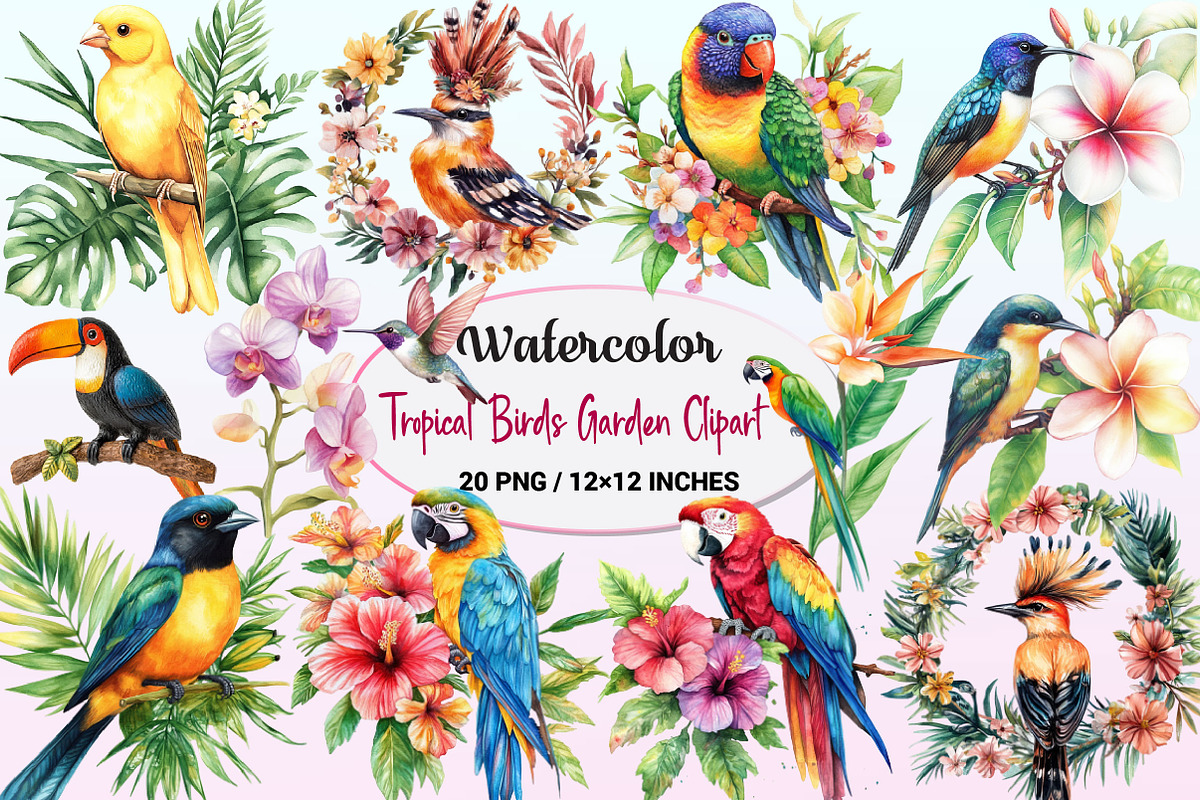 Tropical Birds Garden Clipart, a Graphic by CitraGraphics (Photo 1 of 4)