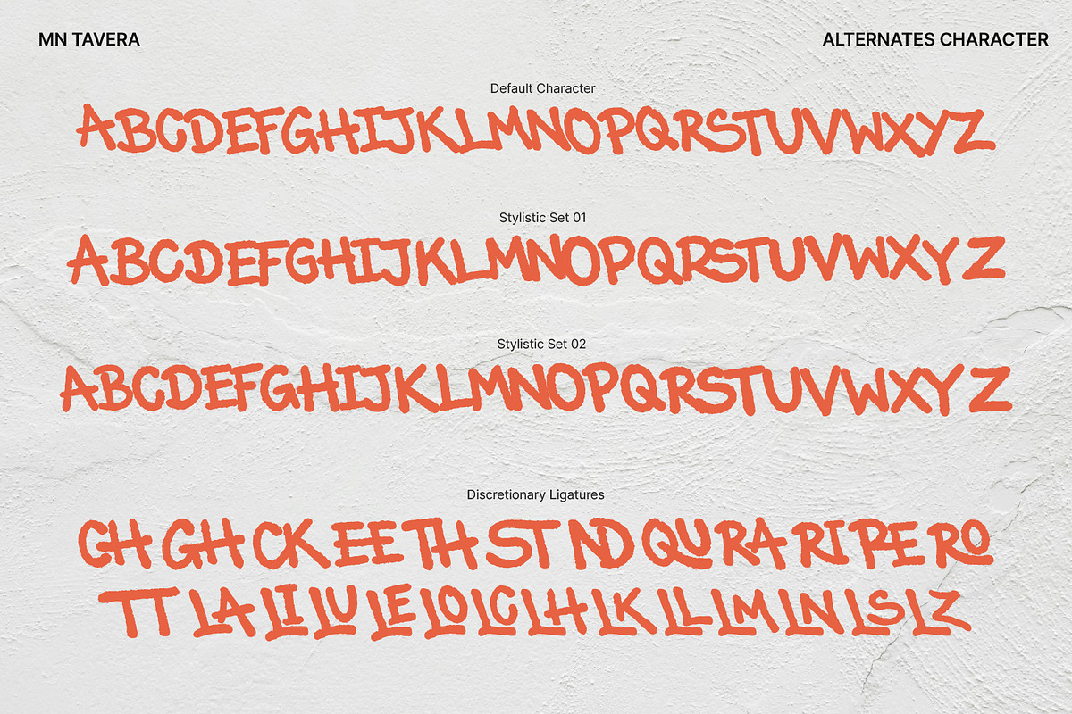 MN Tavera - Handwritten Brush Font, a Handwritten Font by Mantra Naga (Photo 7 of 16)
