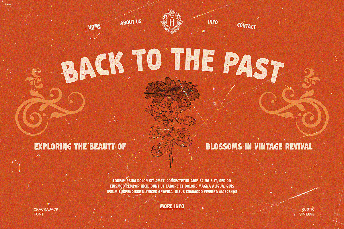 Crackajack - Vintage Font, a Script Font by Alpaprana (Photo 3 of 14)