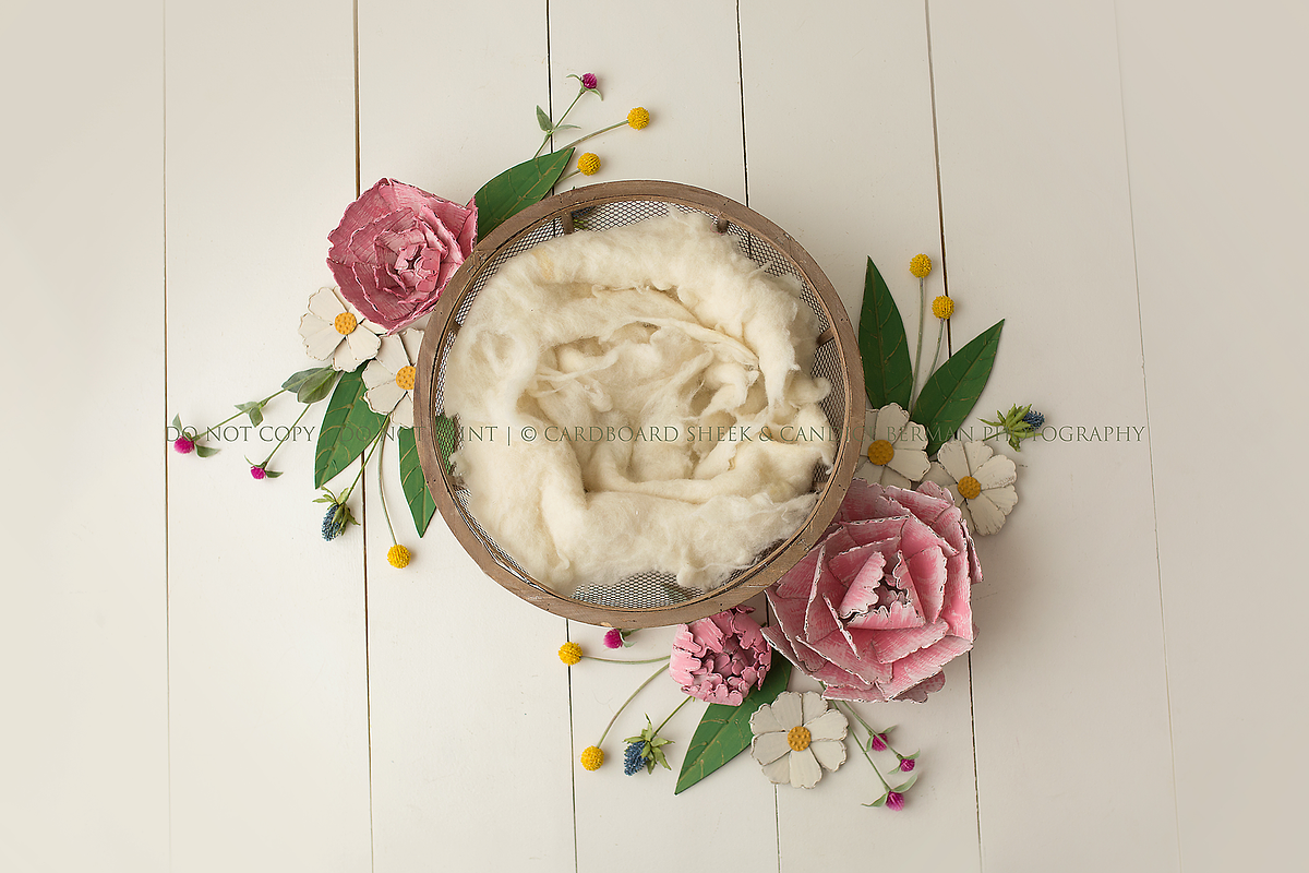 Newborn Photography Digital Backdrop preview 4