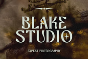 Bottarie Freestyle Display Font, a Serif Font by timelesstype.co (Thumbnail 6 of 20)