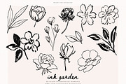 Ink Garden - 50 Brush Line Elements, a Decorative Illustration by PeDe Designs (Thumbnail 2 of 7)
