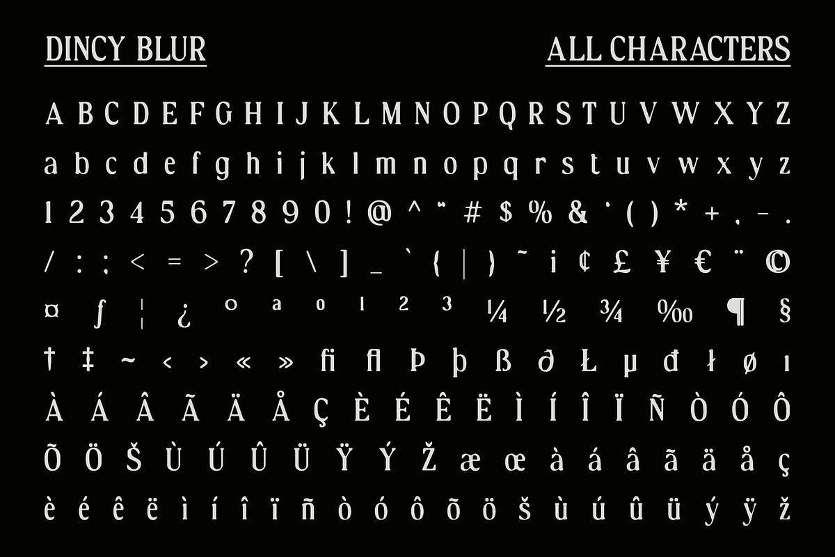 Dincy Blur, a Serif Font by Craft Supply Co. (Photo 8 of 8)