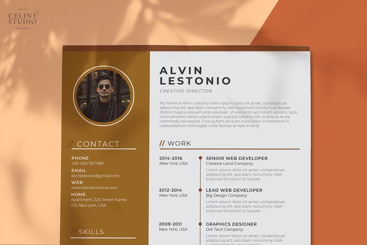 Profesional Resume / CV Template, a Resume Template by Celine Studio (Photo 3 of 4)