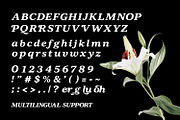 Pagoh Cluser Elegant Italic Serif, a Serif Font by Maulana Creative (Thumbnail 6 of 7)