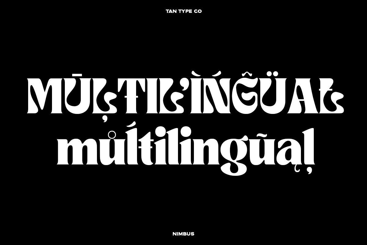 TAN - NIMBUS, a Font by TanType (Photo 10 of 20)