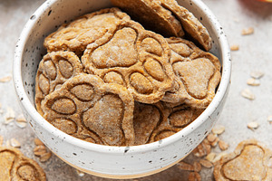 Homemade apple oat dog treats in speckled bowl, a Food & Drink Photo by Olena Rudo