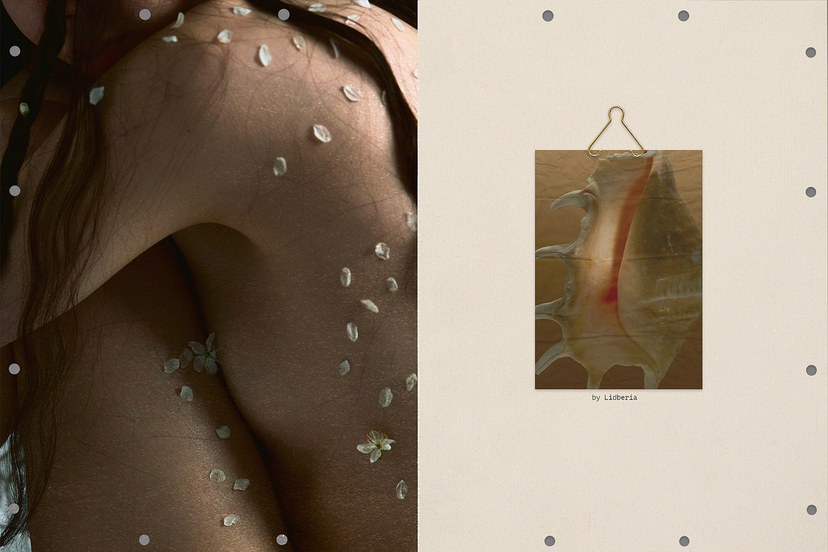 Archive Studio: Office & Paper Goods, an Object Graphic by Lidberia (Photo 8 of 11)