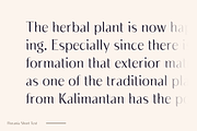 Florania; Elegant Font, a Sans Serif Font by Eko Bimantara (Thumbnail 4 of 13)