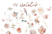 watercolor flowers botanical bundle, a Decorative Illustration by Edith’s World (Thumbnail 2 of 14)