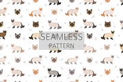 Neva Masquerade cat, an Animal Illustration by pet design shop (Thumbnail 6 of 6)