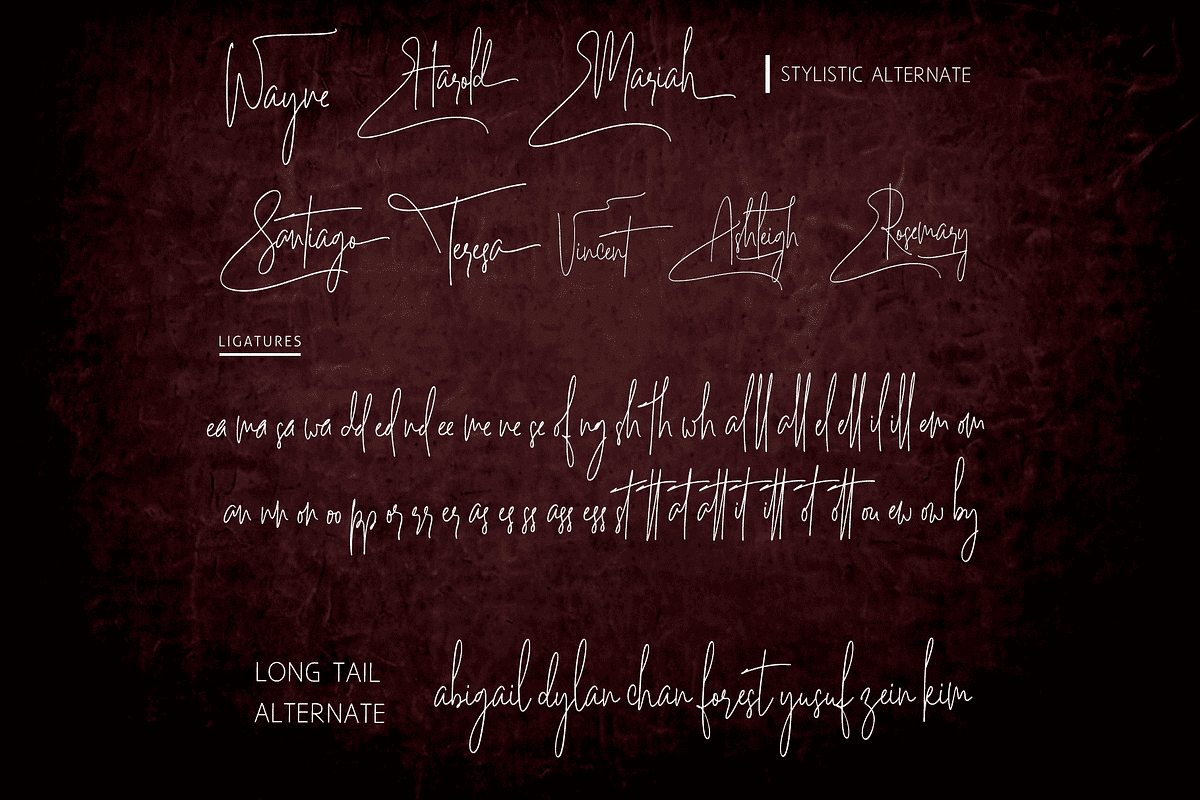 Majestic Writing Signature Font, a Handwritten Font by Letterhanna Studio (Photo 9 of 14)