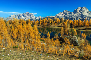 Federa lake in the autumn forest, a Nature Photo by Alpine Dreams