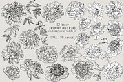 Female bodies and line art peonies, an Object Graphic by Vera●Suleimanova (Thumbnail 12 of 17)