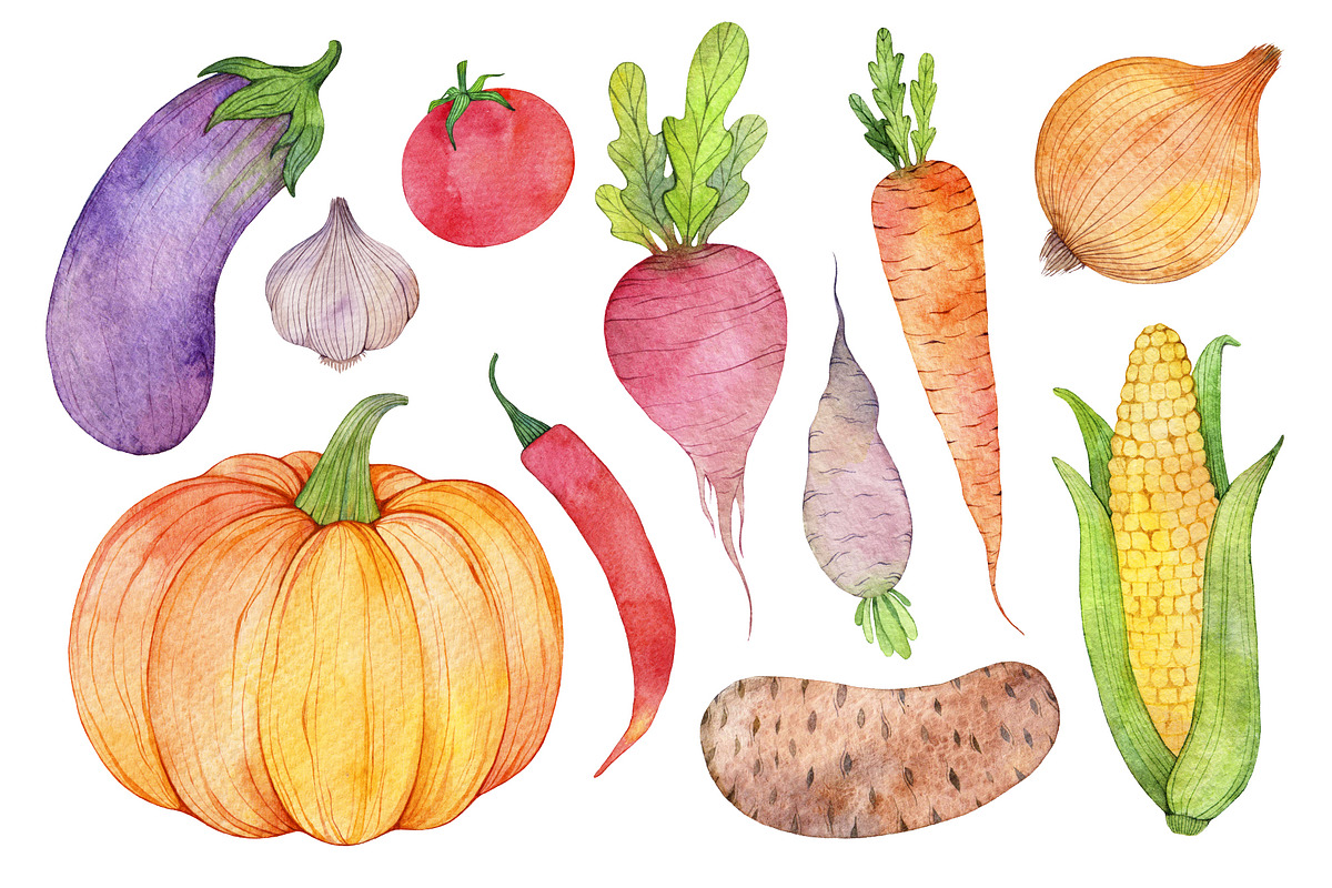 Vegetables Watercolor collections, a Food Illustration by Green_leaf_17 (Photo 3 of 5)