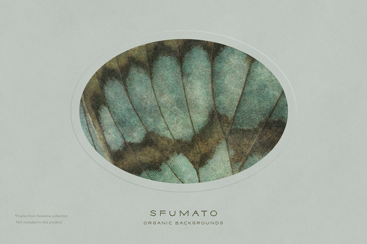 Sfumato Organic Textured Backgrounds, a Background Graphic by alonahaidash (Photo 12 of 15)