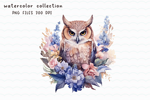 Owl Watercolor Clip Art