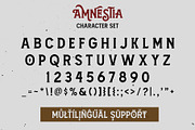 Amnestia Typeface with Extra, a Serif Font by Arterfak Project (Thumbnail 14 of 16)