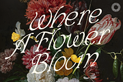 Art In Heaven - Ethereal Serif, a Serif Font by Setara Langit CreativeStd (Thumbnail 2 of 11)