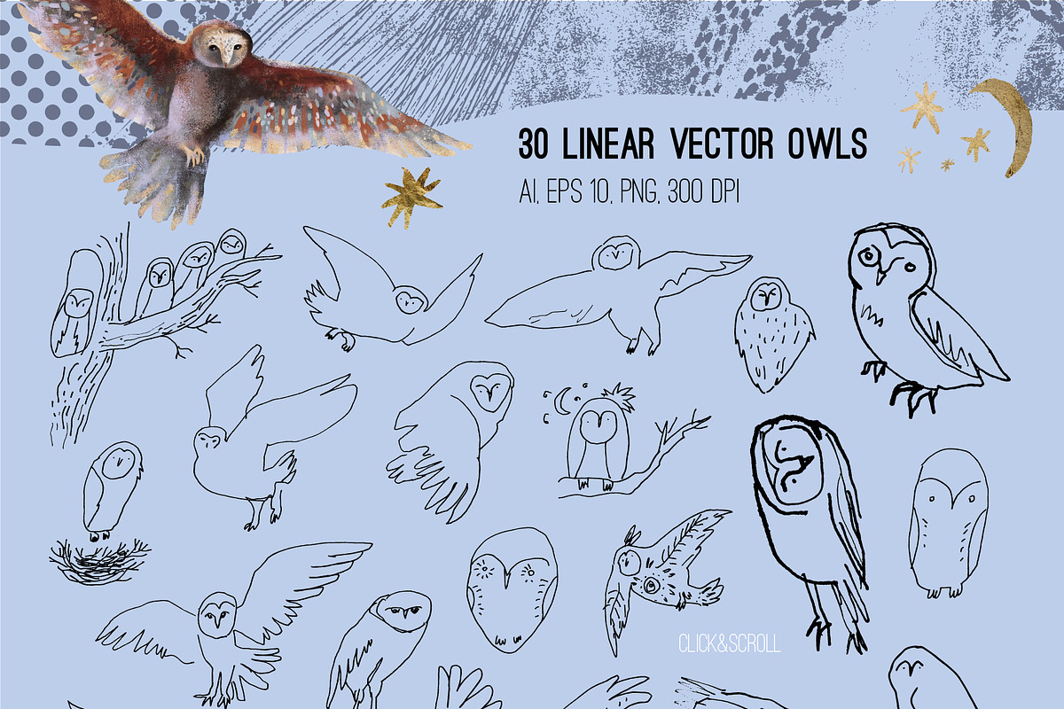 Magic owls: 280 elements for design, an Animal Illustration by Shusha Guna Art (Photo 3 of 23)