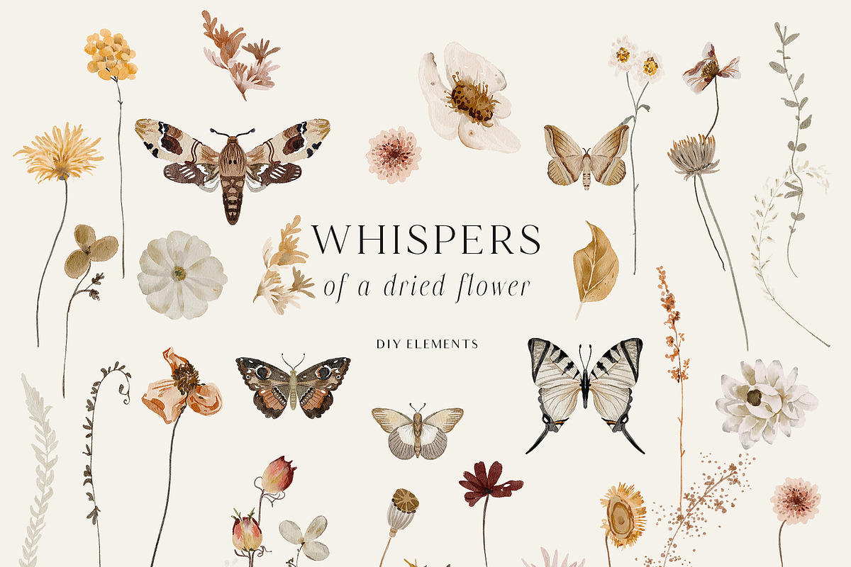 Wildflowers watercolor floral botany, a Decorative Illustration by Grace Noboa Illustrations (Photo 17 of 17)