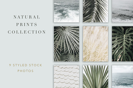 Nature in Stock