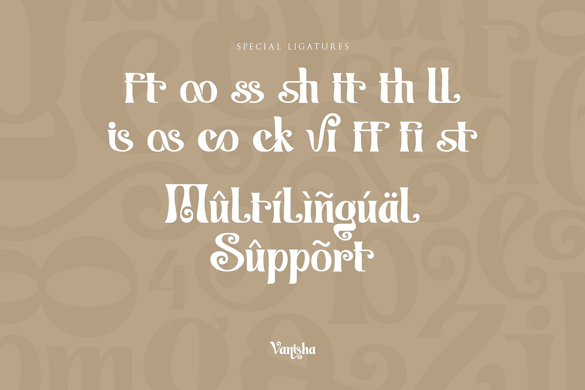 Vanisha - Modern Serif Display, a Serif Font by Koplexs Studio (Photo 10 of 11)