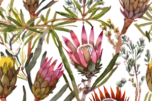 Watercolor Fynbos Flowers