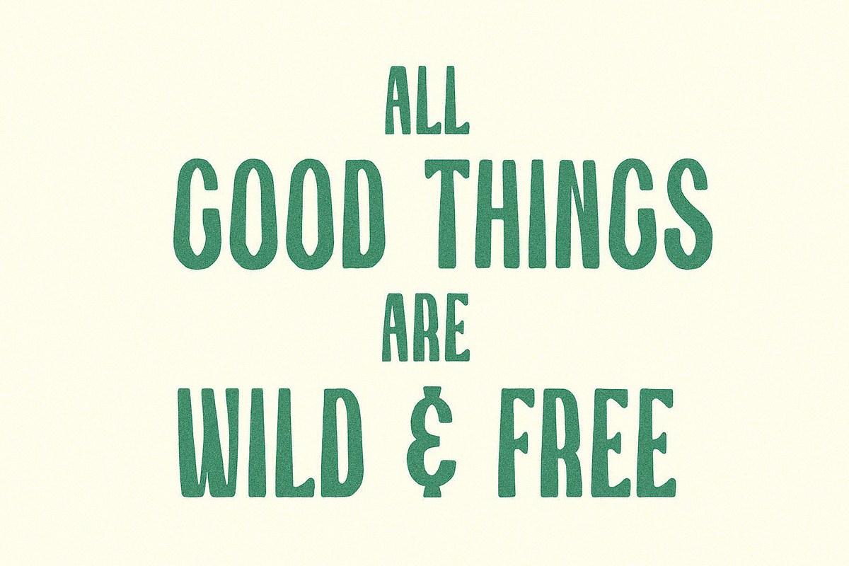 Wawa I A Relaxed Sans Serif, a Sans Serif Font by Taylor Penton (Photo 3 of 4)