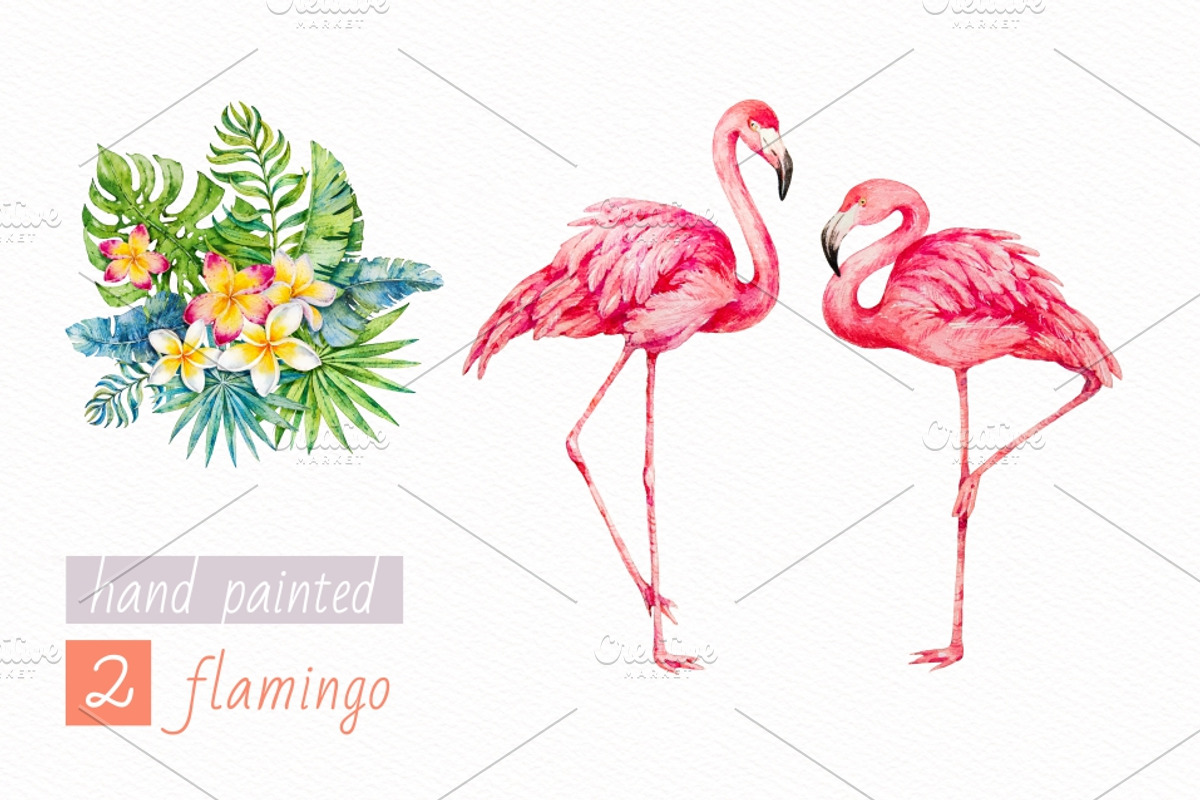 Tropics.Watercolor collection, an Animal Illustration by Ekaterina Mikheeva (Photo 3 of 7)