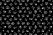 Weed. Stoner gadgets & accessories, a Healthcare Illustration by Margo Miller (Thumbnail 5 of 45)