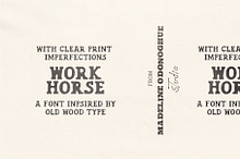 Work Horse – Vintage Wood Serif Font