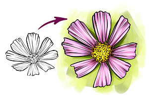 Flower Stamp Brushes For Procreate