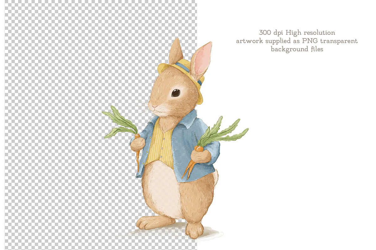 Vintage Summer Bunny Clipart Set, an Illustration by AlenaVlasko stock Market (Photo 2 of 5)