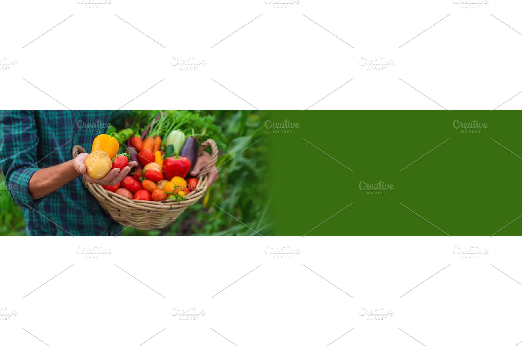 A man with a harvest of vegetables, a Food & Drink Photo by yanadjana