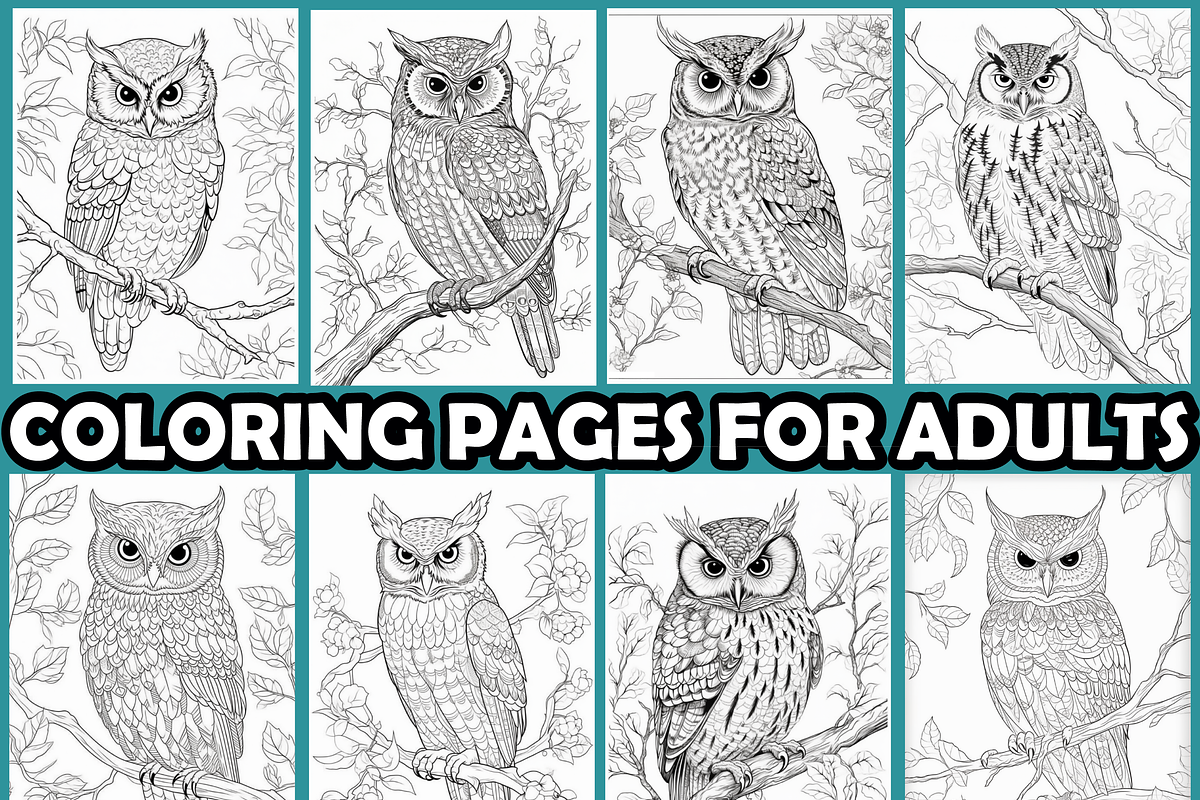 Owl on Snowy Branch Coloring Pages, an Animal Illustration by martinblan (Photo 3 of 4)