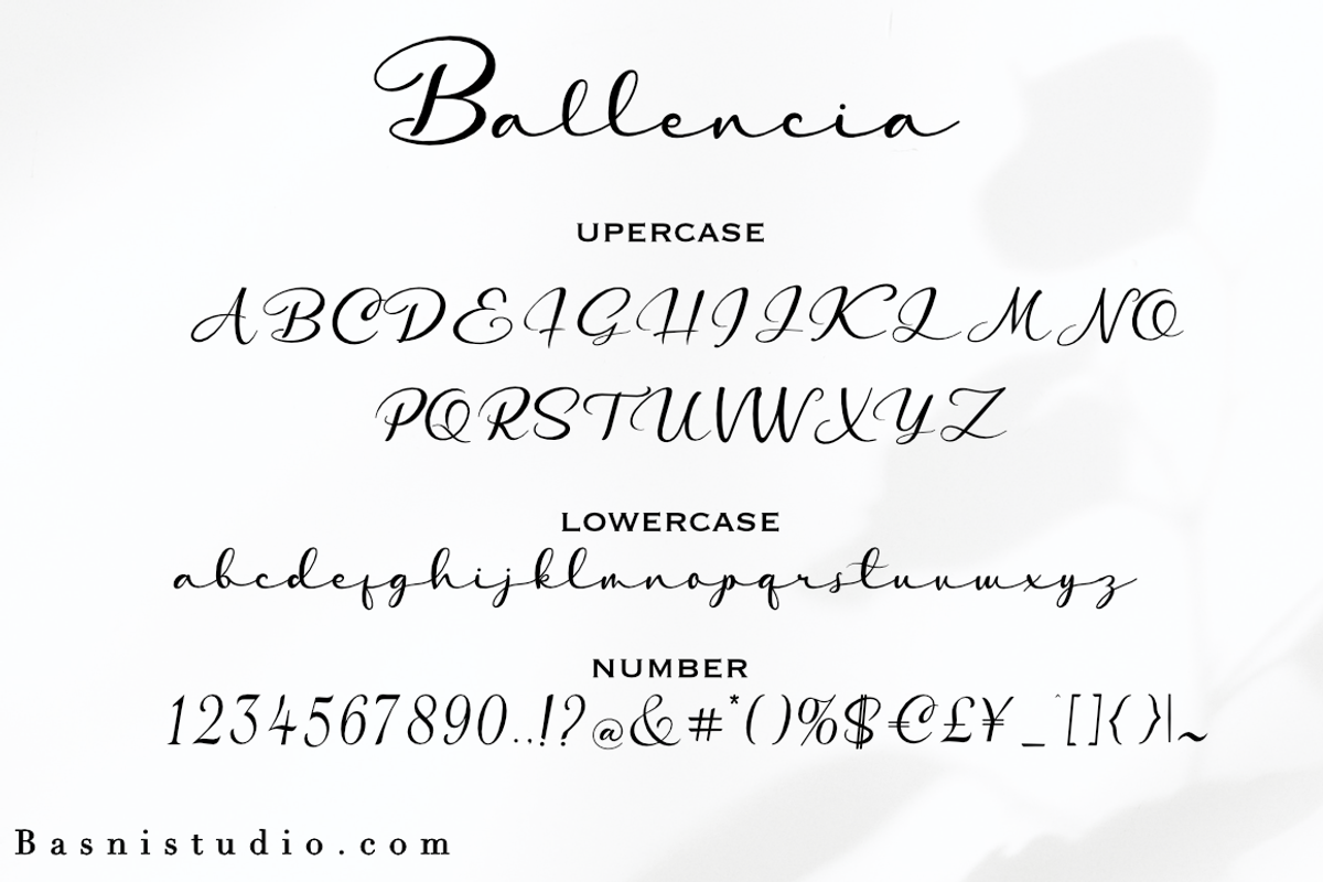 Ballencia Handwritten Font, a Script Font by Basnistudio (Photo 5 of 6)
