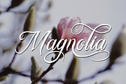 Bulliandry | Modern Calligraphy, a Script Font by Analogous (Thumbnail 10 of 14)