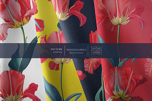 Tulip Blossoms, Luxury Prints & More