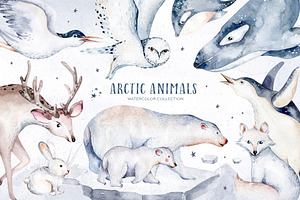 Arctic cute animals.  Watercolor set