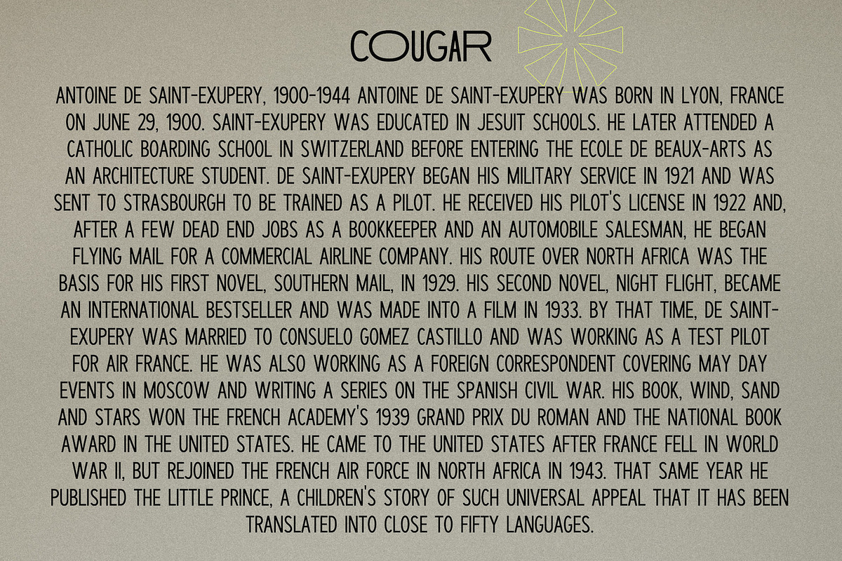 Cougar – Variable Widths Sans, a Sans Serif Font by Local Desk Designstudio (Photo 10 of 19)