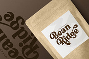 Bristle Radiant Modern Retro Stylish, a Serif Font by Letterena Studios (Thumbnail 11 of 15)