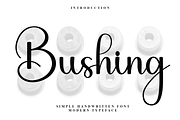 Bushing, a Handwritten Font by FreshTypeINK (Thumbnail 1 of 8)