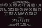 Beauty Winter, a Serif Font by InermediaSTUDIO (Thumbnail 2 of 8)
