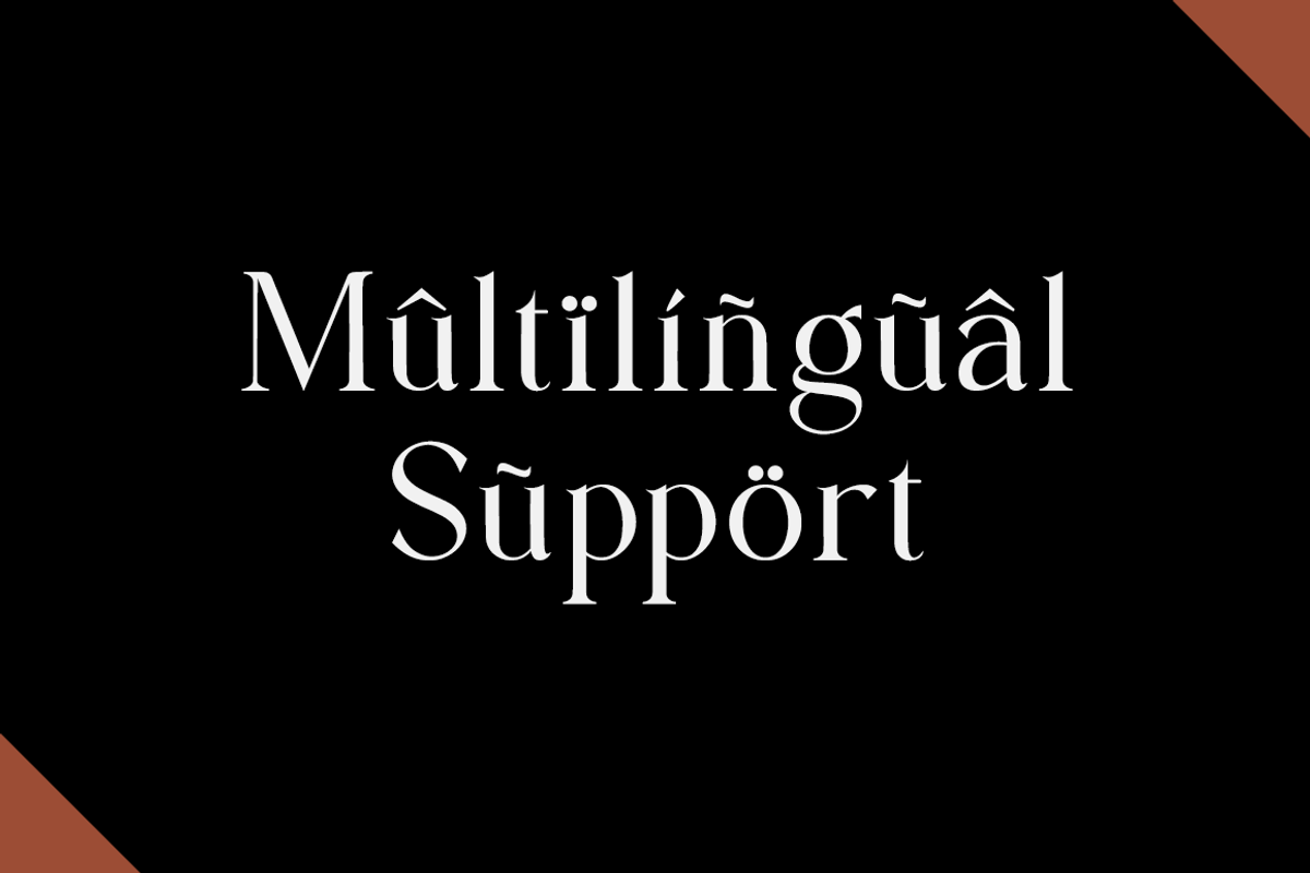 Alchemin - Advertisement Font, a Serif Font by RockboyStd (Photo 8 of 12)