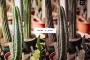 4 Moody Aesthetic Lightroom Presets, a Preset Add-On by SHOOM HOUSE (Thumbnail 7 of 8)