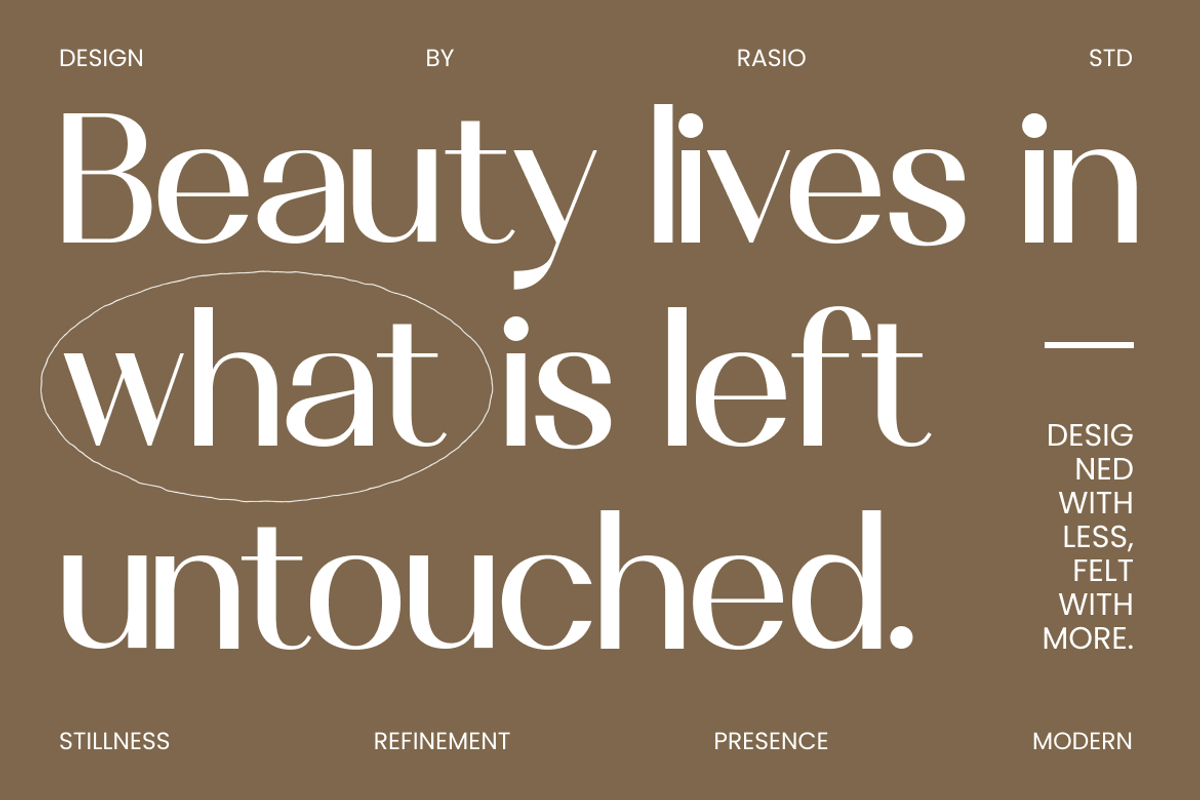 Vermica Modern Elegant Sans Font, a Sans Serif Font by Rasio Studio (Photo 4 of 11)