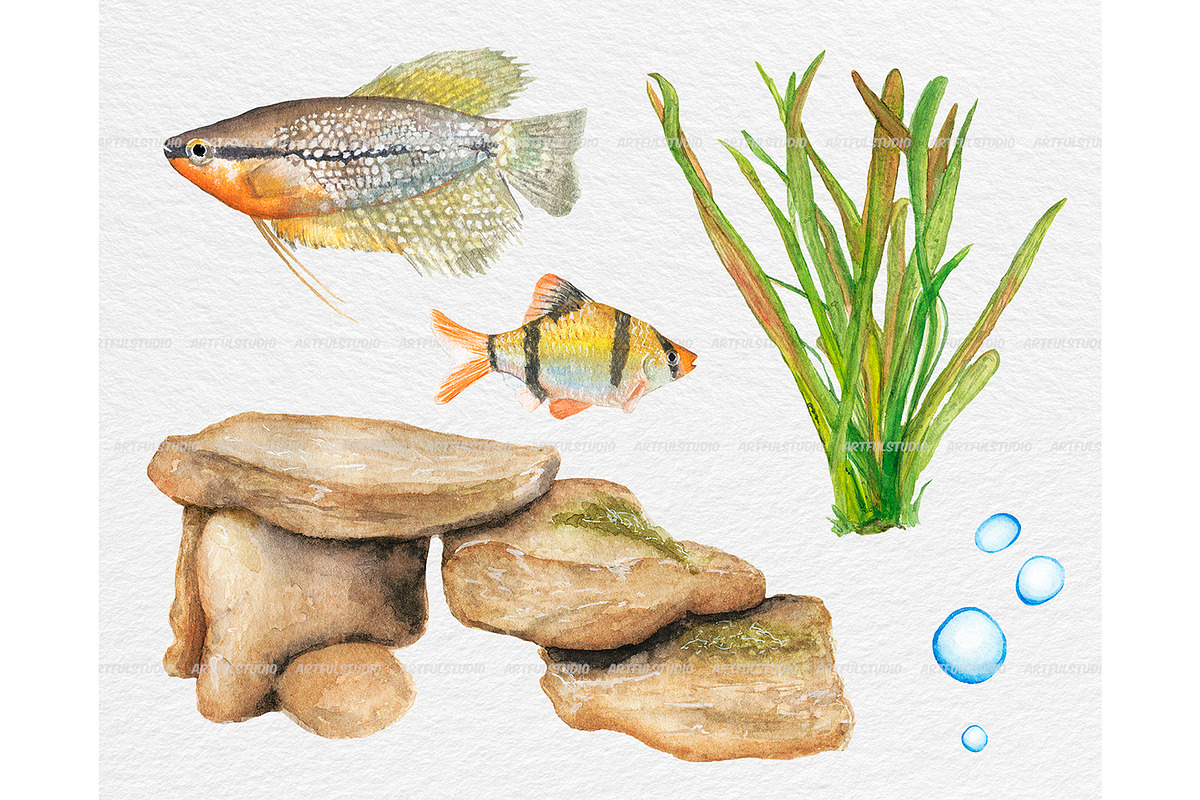 Watercolor tropical fish clipart, an Animal Illustration by ArtfulStudio (Photo 4 of 8)