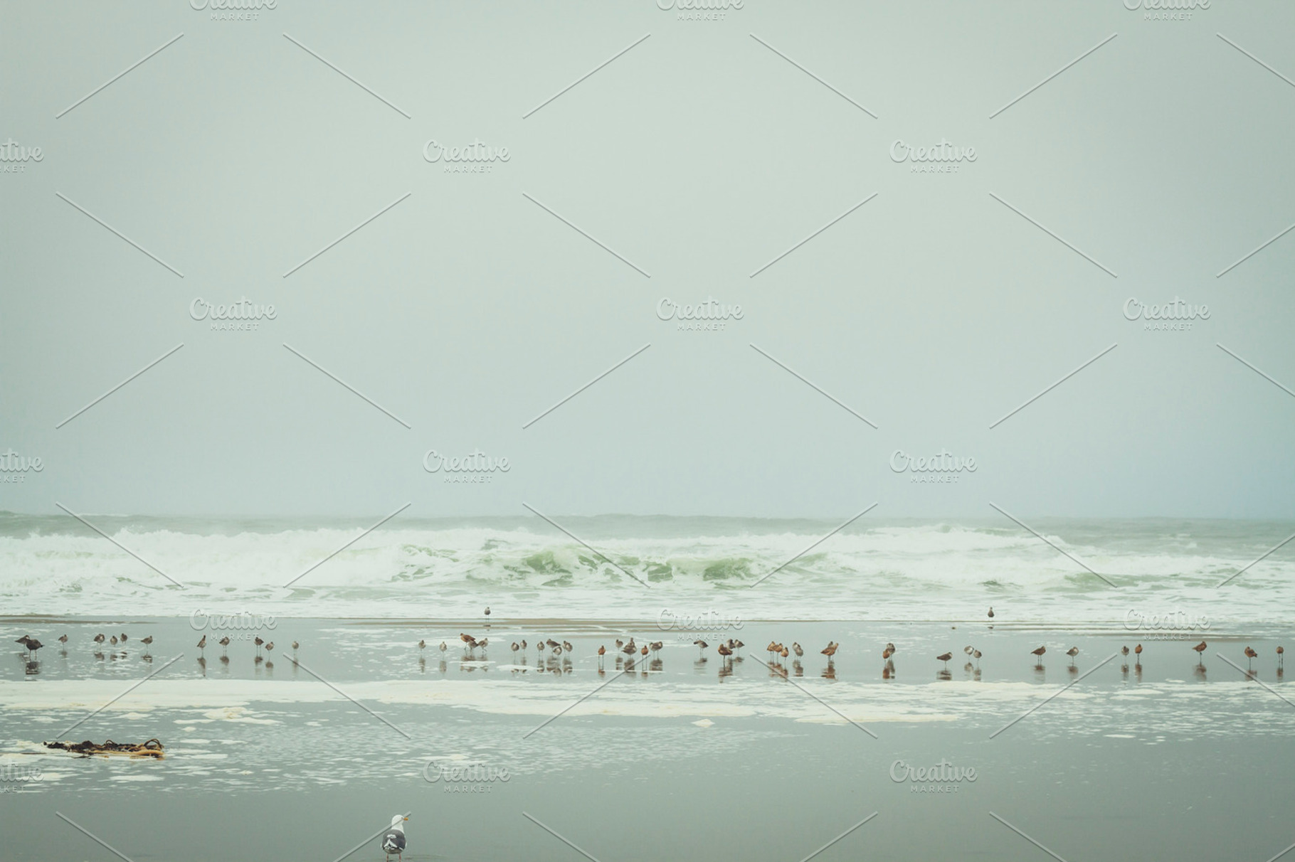 At the beach containing beach, sand, and ocean